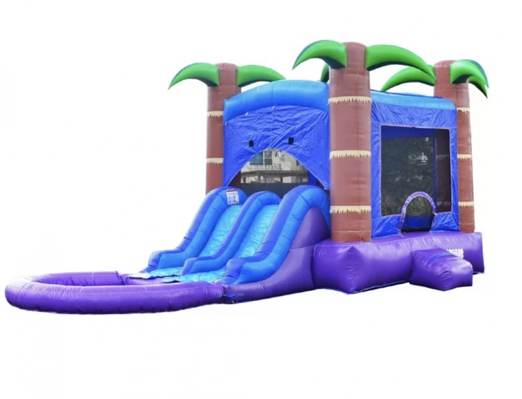 Purple Bounce House W/ Slide