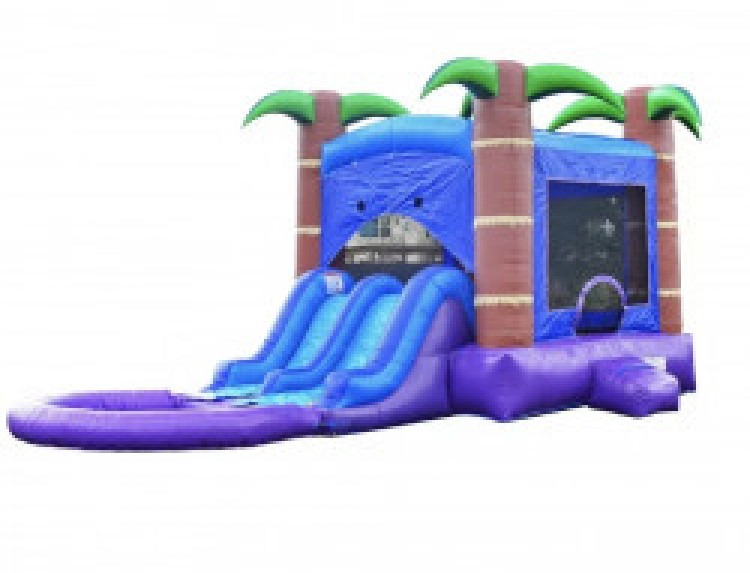 Bounce House W/ Slide Rentals